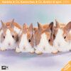 Buchcover Kaninchen & Co. 2009