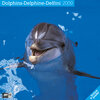 Buchcover Delfine 2009