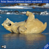 Buchcover Eisbären 2009