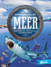 Buchcover Geheimnisvolles Meer
