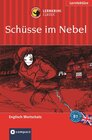 Buchcover Schüsse im Nebel