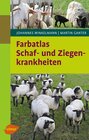 Buchcover Schaf- und Ziegenkrankheiten
