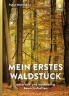 Buchcover Mein erstes Waldstück