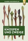 Buchcover Knospen und Zweige