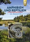 Buchcover Amphibien und Reptilien in Bayern