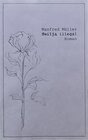 Buchcover Smilja illegal
