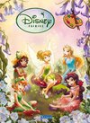 Buchcover Glitzermalbuch Disney Fairies