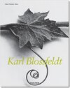 Buchcover Blossfeldt
