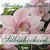 Buchcover Herzlichen Glückwunsch zur Silberhochzeit