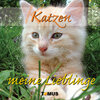 Buchcover Katzen - meine Lieblinge