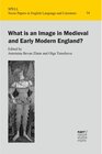 Buchcover What is an Image in Medieval and Early Modern England?