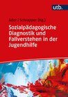 Buchcover Sozialpädagogische Diagnostik und Fallverstehen in der Jugendhilfe