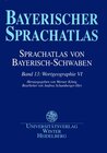 Buchcover Sprachatlas von Bayerisch-Schwaben (SBS) / Wortgeographie VI