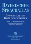Buchcover Sprachatlas von Bayerisch-Schwaben (SBS) / Wortgeographie V