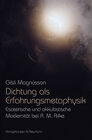 Buchcover Dichtung als Erfahrungsmetaphysik