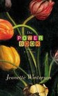 Buchcover Das Powerbook