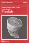 Buchcover Haeckel-Bücherei, Band 5: Muscheln