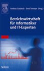 Buchcover Betriebswirtschaft für Informatiker und IT-Experten