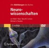 Buchcover Bild-DVD, Neurowissenschaften