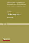 Buchcover Süßwasserflora von Mitteleuropa, Bd. 20: Schizomycetes