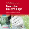 Buchcover Bild-DVD, Molekulare Biotechnologie, Die Abbildungen des Buches