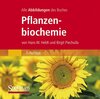 Buchcover Die Abbildungen des Buches "Pflanzenbiochemie"