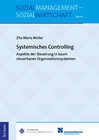 Buchcover Systemisches Controlling