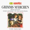 Buchcover Kinder- und Hausmärchen der Brüder Grimm / Hänsel und Gretel /Jorinde und Joringel /Der Arme und der Reiche