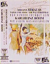 Buchcover Johann Strauss - Vater und Sohn - Ihr Leben