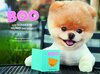 Buchcover Boo - Der süßeste Hund der Welt