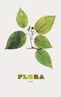 Buchcover Flora