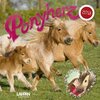 Buchcover Ponyherz 2018 Wandkalender
