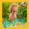 Buchcover Ponyherz 2020 Wandkalender