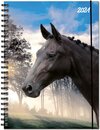 Buchcover Terminplaner Pferd 2021