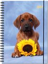 Buchcover Terminplaner Hund 2021