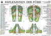 Buchcover Reflexzonen der Füße (Tafel A5)