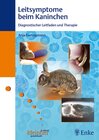Buchcover Leitsymptome beim Kaninchen