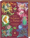 Buchcover Kuriose Schätze der Natur