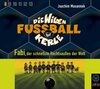 Buchcover Die wilden Fussballkerle - CD-Ausgabe / Fabi, der schnellste Rechtsaussen der Welt