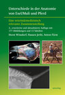 Buchcover Unterschiede in der Anatomie von Esel/Muli und Pferd