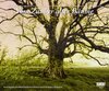 Buchcover Vom Zauber alter Bäume, Fotokunst-Kalender 2012