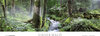 Buchcover Unser Wald - Magnum Kalender immerwährend