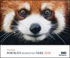 Buchcover Tim Flach: Porträts bedrohter Tiere 2020 – Tier-Fotografie – Wandkalender 58,4 x 48,5 cm – Spiralbindung