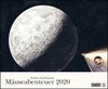 Buchcover Torben Kuhlmanns Mäuseabenteuer 2020 – DUMONT Kinder-Kalender – Querformat 52 x 42,5 cm – Spiralbindung