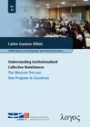 Buchcover Understanding Institutionalized Collective Remittances