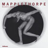 Buchcover Mapplethorpe 2011
