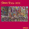 Buchcover Rizzi 2012