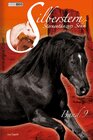 Buchcover Silberstern, Sternentänzers Sohn