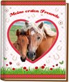 Buchcover Pferde Kindergartenfreundebuch