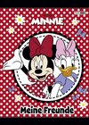 Buchcover Disney Minnie Freundebuch